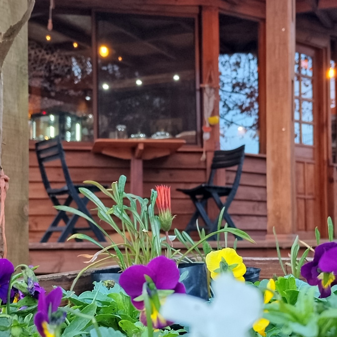 Víveté Vivero y Casa de Té