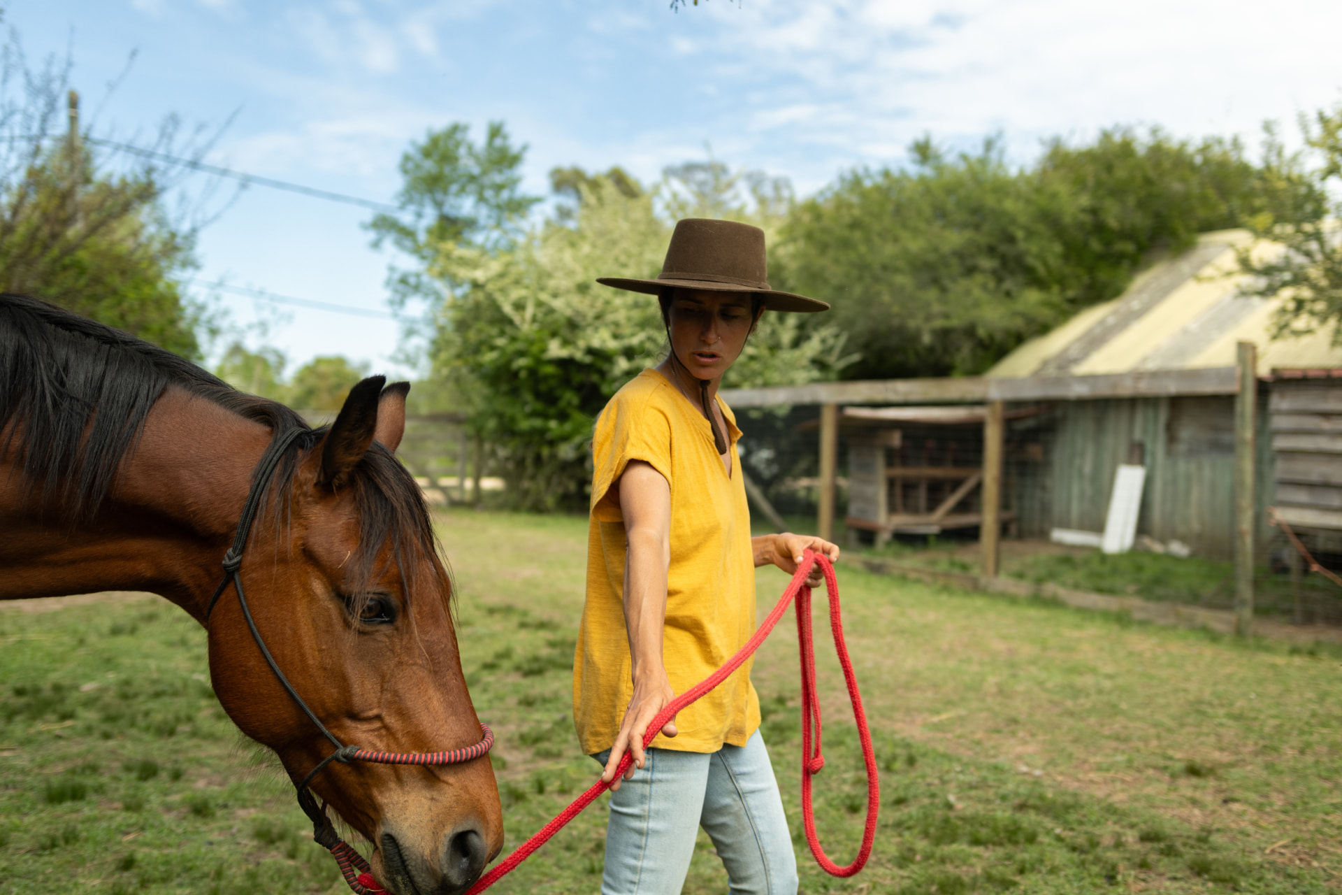 Angirú/Caballos del Edén