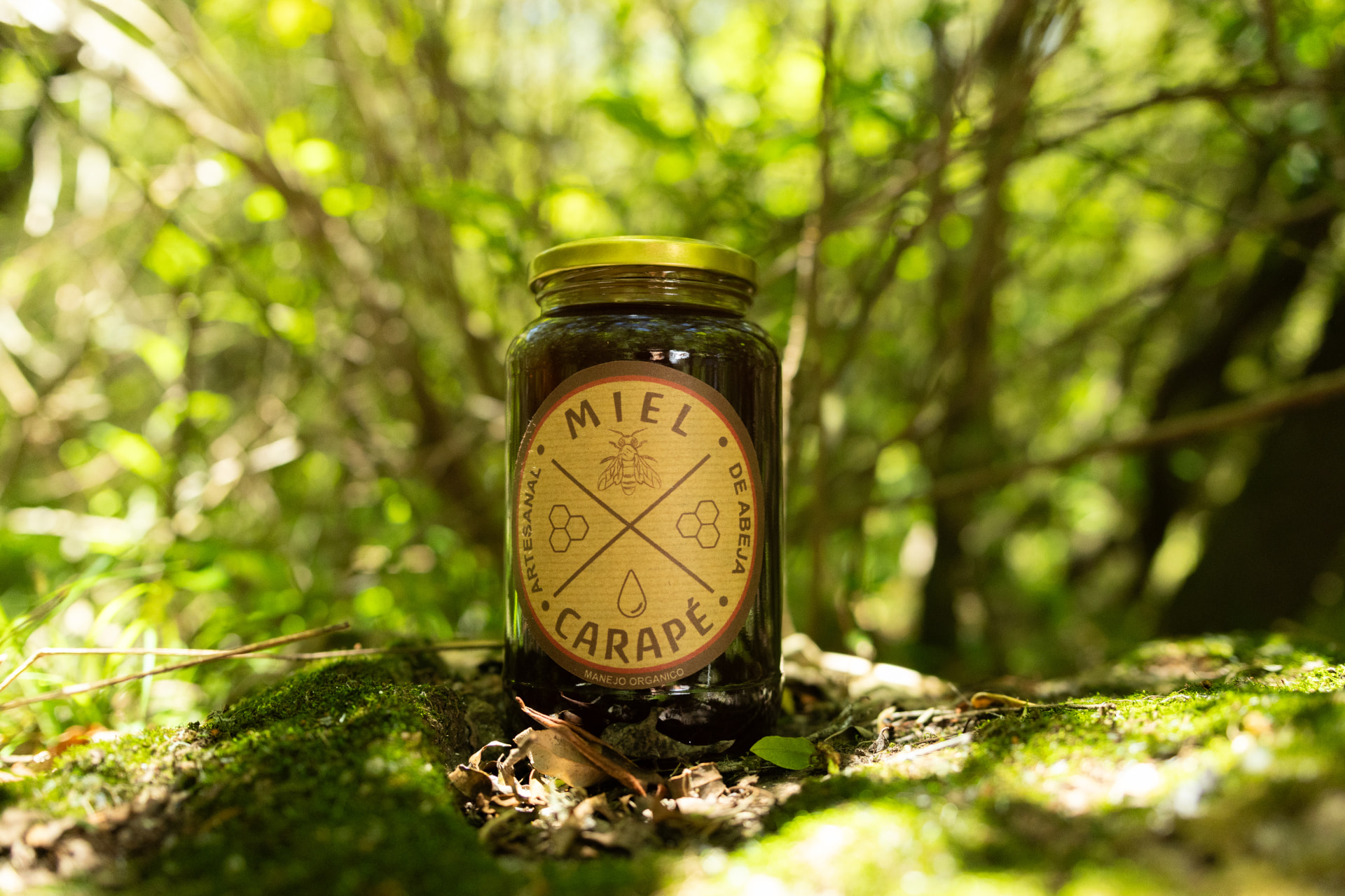 Miel de Abejas Carapé