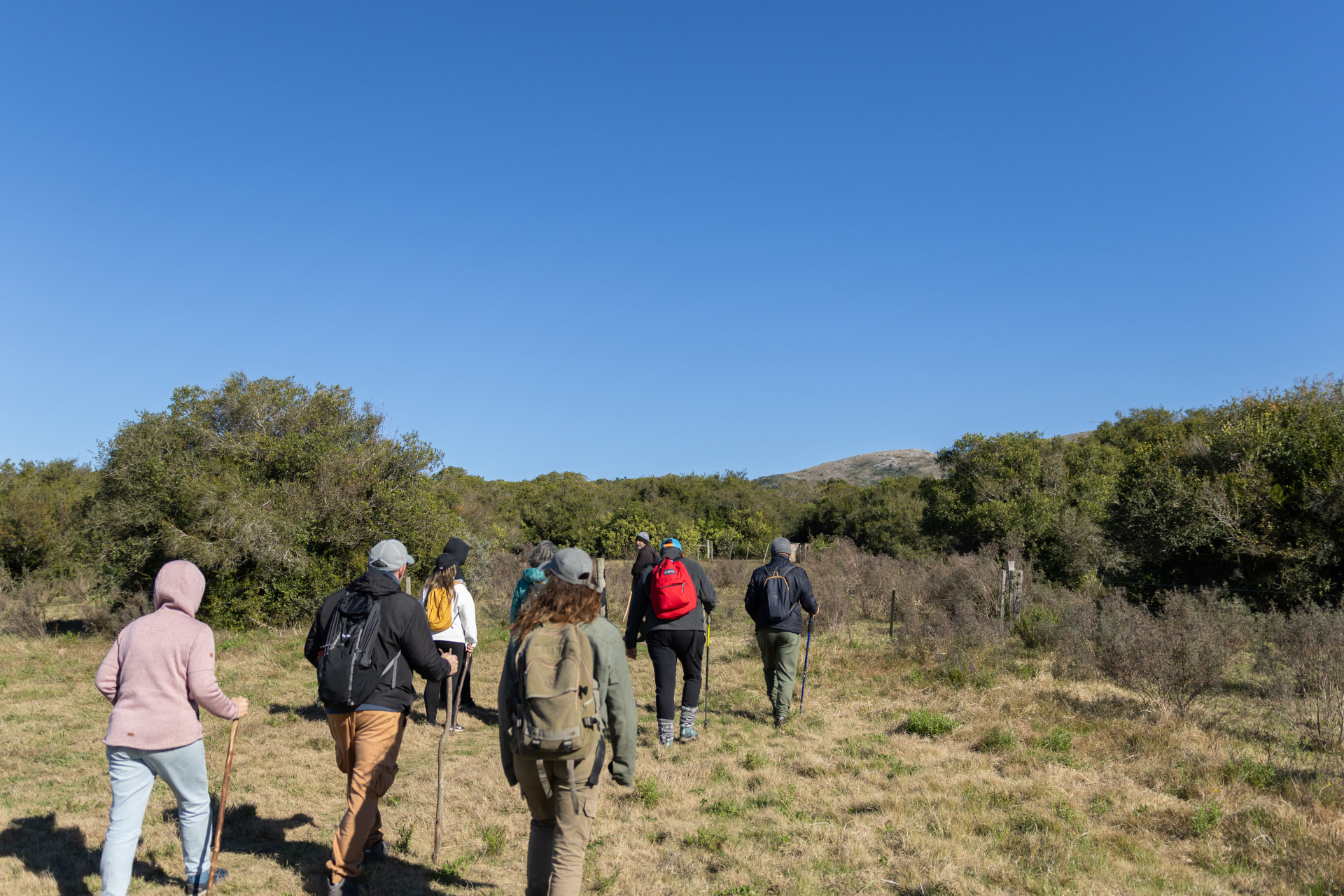 Caminantes Nativos
